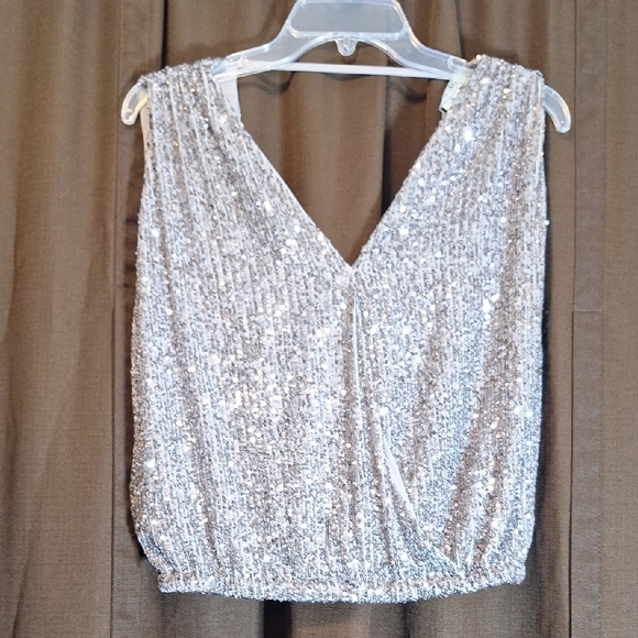 She + Sky Tops - She + Sky Glittering Silver Sequin Cropped